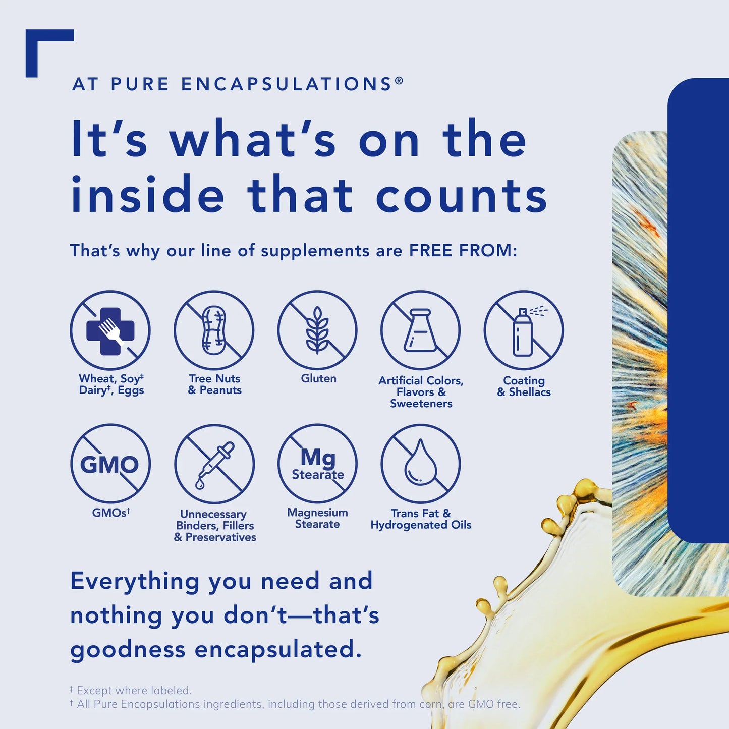 Pure Encapsulations Magnesio (Glicinato) - Suplemento para apoyar el alivio del estrés, el sueño, la salud cardíaca, los nervios, los músculos y el metabolismo* - con Glicinato de Magnesio - 90 cápsulas